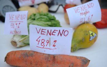 Ativistas da Campanha Permanente contra os Agrotóxicos e pela Vida, participam de ato no Dia Internacional de Luta contra os Agrotóxicos, em frente Câmara de Vereadores (Fernando Frazão/Agência Brasil)